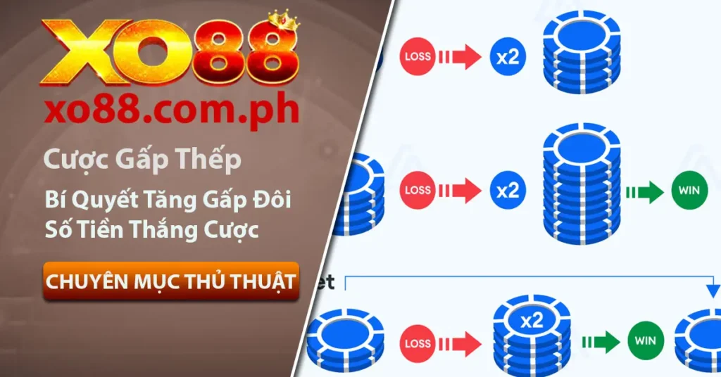 Cược gấp thếp